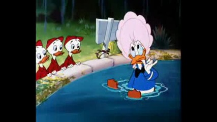 Donald Duck - Dons Fountain of Youth