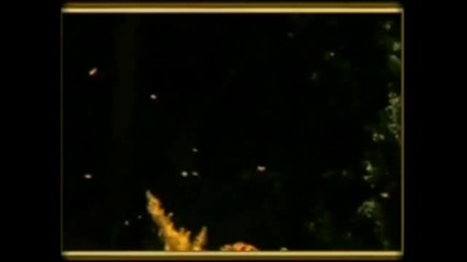 Morir de amor-f.pourcel