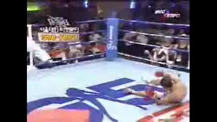 Tae Kwon Do Vs Muay Thai 