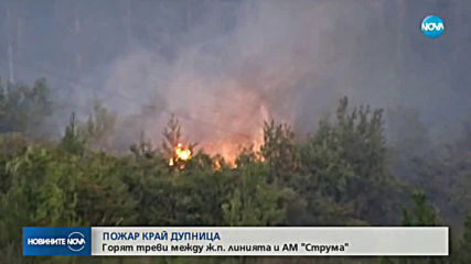 Пожар гори край дупнишкото село Тополница (СНИМКИ)