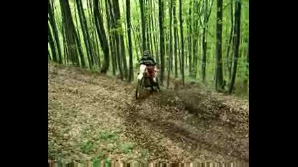 Sany0117.avi