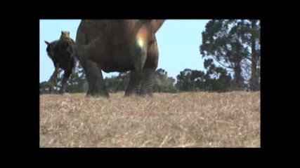T.rex