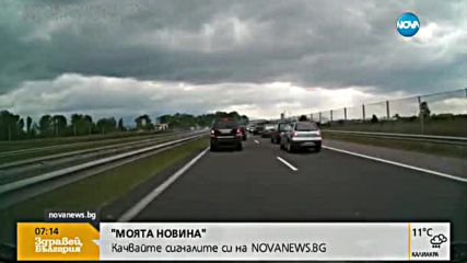 От „Моята новина”: Куче в клетка