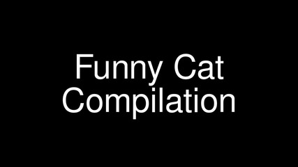 Смешни котки компилация 2012