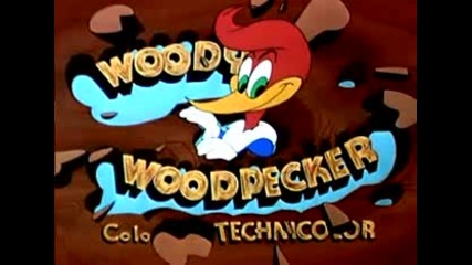 Woody Woodpecker - Ballin Boy