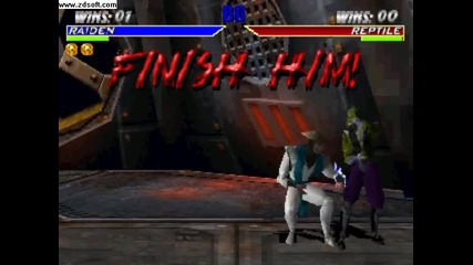 Raiden Fatality 