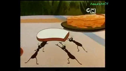 Warner Bros - The Gay Anties Mm Cn Бг Аудио