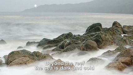 Beyond The Reef