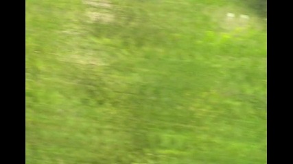 Рали 2009