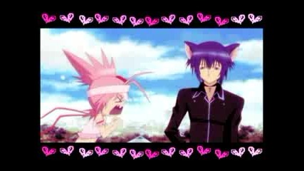 Stupid Cupid [shugo Chara Amv]
