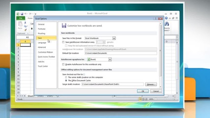 Microsoft® Excel 2010: Enable and adjust Autorecover and Autosave in Windows® Vista