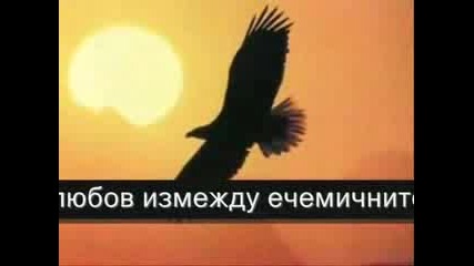 Sting - Fields Of Gold (ПРЕВОД)