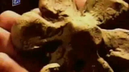 Dragana Mirkovic - Placi zemljo