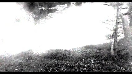 Neylini - Muleina