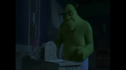 shrek and fiona