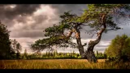 Vangelis - Dream in an Open Place