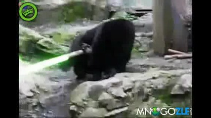 Силата е с нея