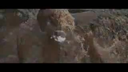 Celine Dion - Le miracle
