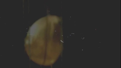 Деймън и Елена - Бодигард