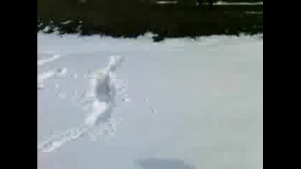 Опасни Кучета