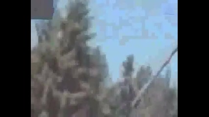 Забавни инциденти