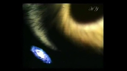 Miracles of the Quran, Black Holes