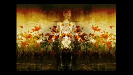 Mike Koglin - The Silence