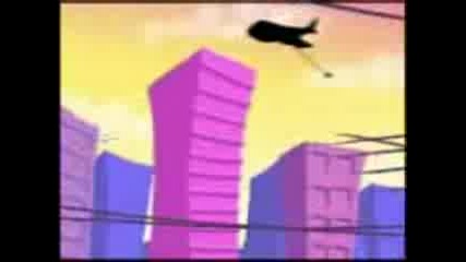 Roncho - Spiderman