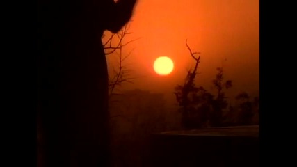 Julio Iglesias , Stevie Wonder - My Love