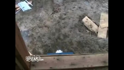 break - куче изкачва стълба