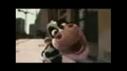 Crazy Cow
