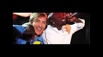 Akon - Party Animal (prod. David Guetta) (new Exclusive 2010) 
