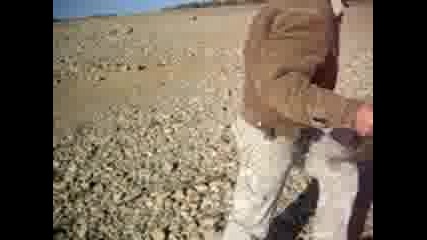 Como Se Pesca Lusio Perca...rafidi2