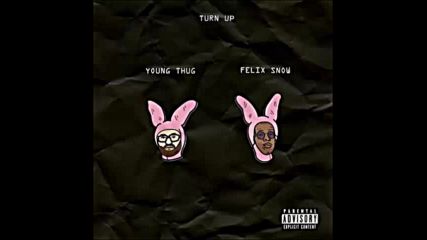 *2016* Felix Snow ft. Young Thug - Turn Up