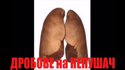 не на тютюнопушенето