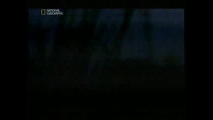 Истина ли е: Чупакабра част 1/2