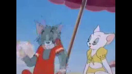 Том и джери - Salt Water Tabby