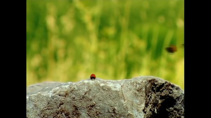 Minuscule.s1e3