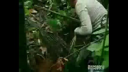 Man Vs Wild S02Е05 - Equador