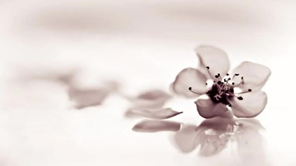 Dave Owen - Heaven Scent