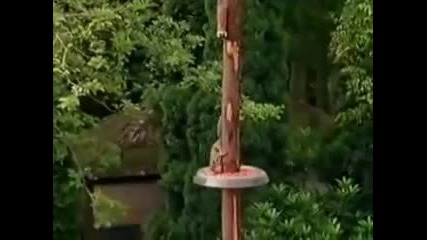 Carling Black Label - Mission Impossible (squirrel) 