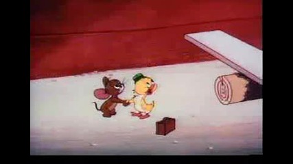 Tom & Jerry - Southbound Duckling
