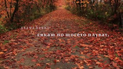 Тихо! Обичта е навсякъде!