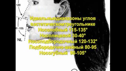 Esteti4eski proporcii na liceto