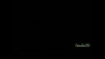 Lionel Messi 2009 - 2010 Hd