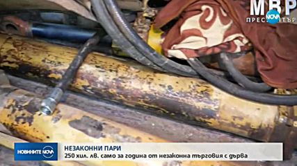 НЕЗАКОННИ ПАРИ: 250 000 лв. само за година от незаконна търговия с дърва