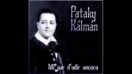 Pataky Kalman - Mi par dudir ancora 