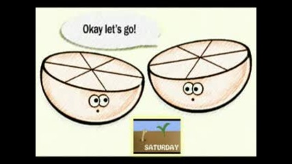Days of the Week 