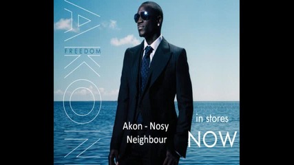 Akon - Nosy Neighbour
