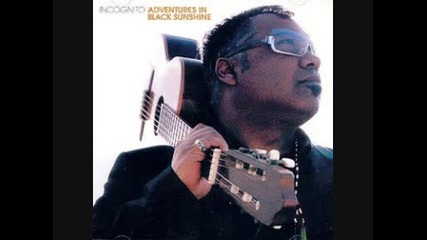 Incognito - Adventures In Black Sunshine - The 25th Chapter 2004 